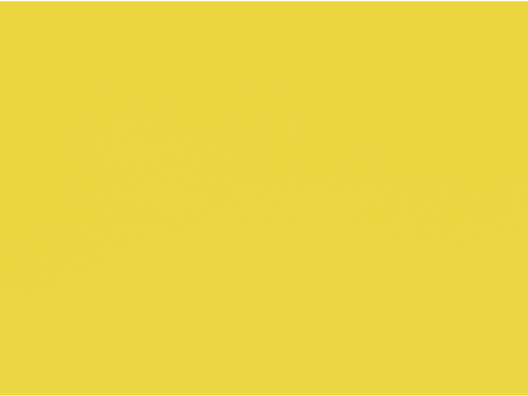 Bright Yellow｜FY6018236