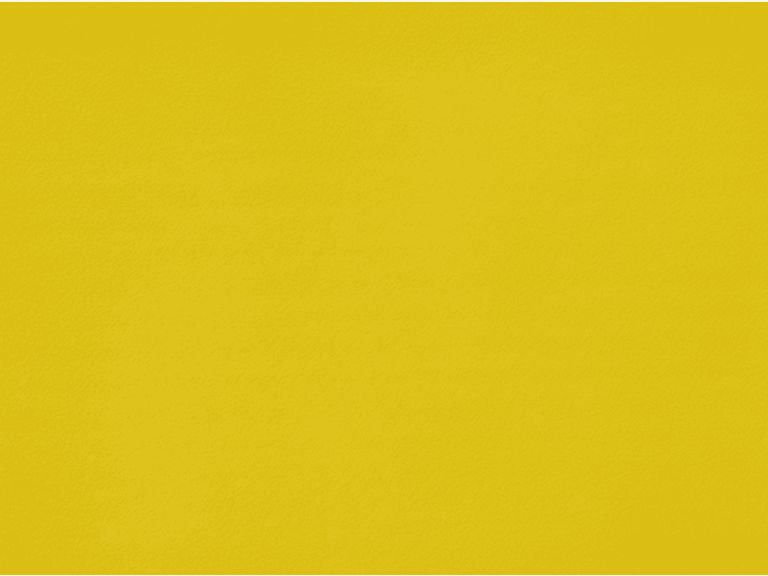 Sophora Yellow | FY3018250