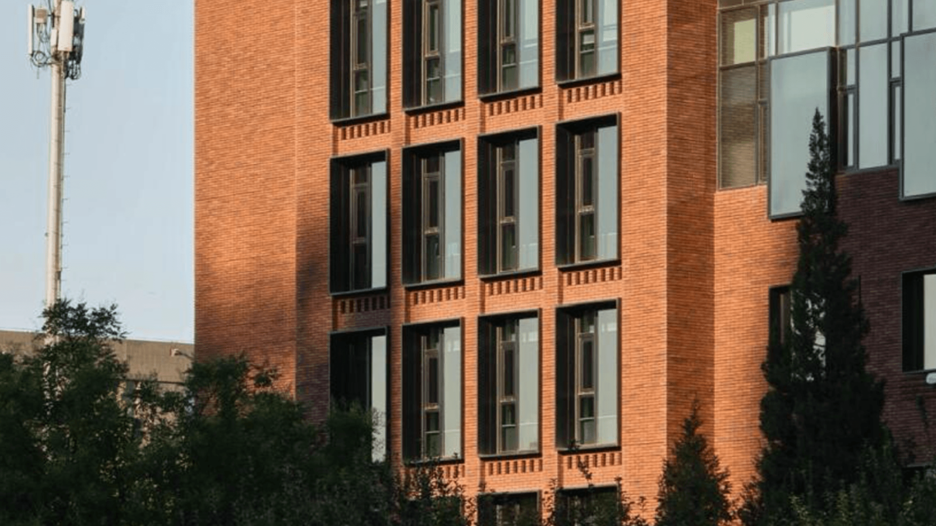 06-Case Studies