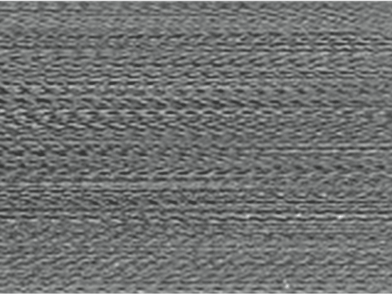 FSH6021886