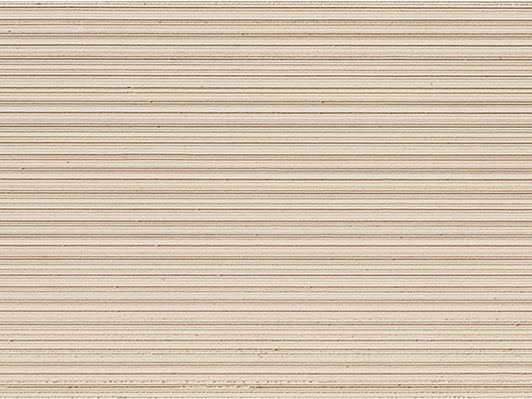 FX3021011