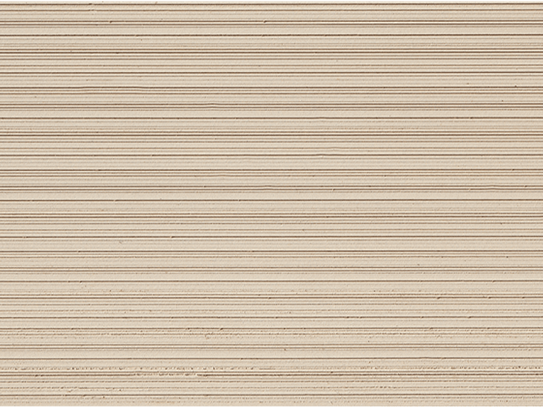 FX3021011