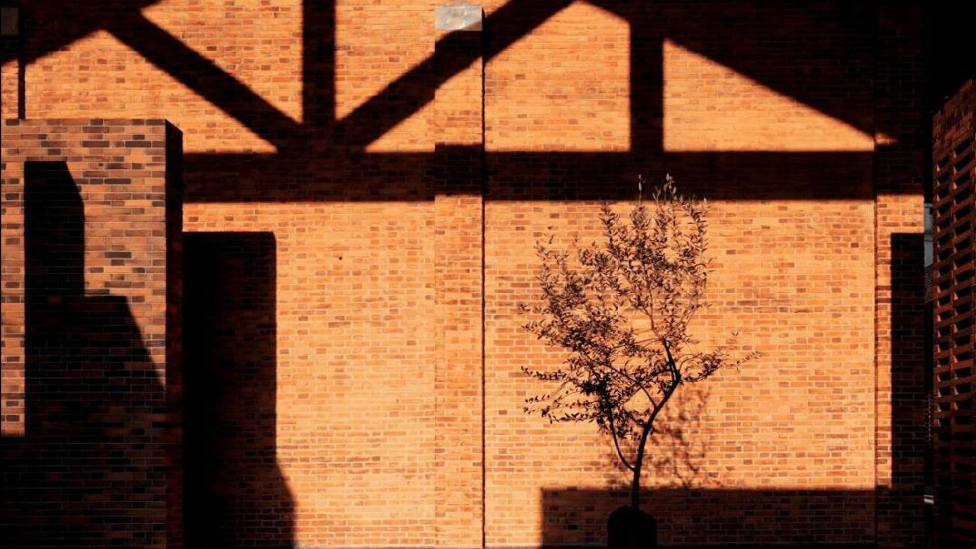 LOPO Terracotta Building Facade